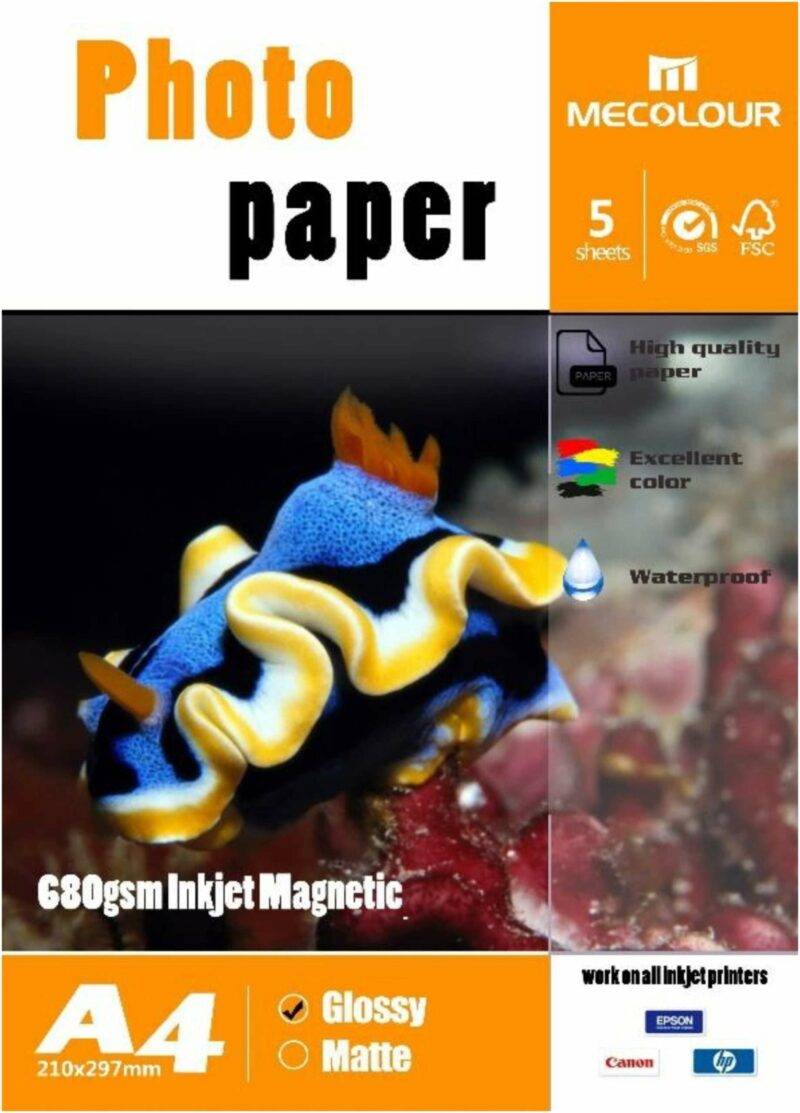 magnetic scaled 1